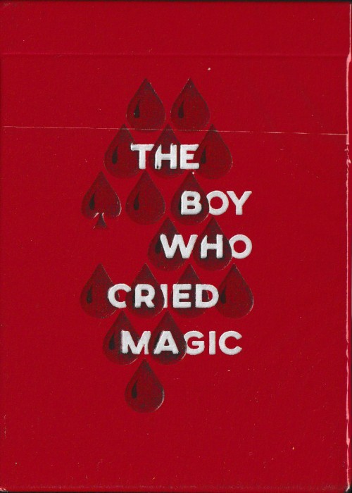 The Boy Who Cried Magic (Andi Gladwin) front image