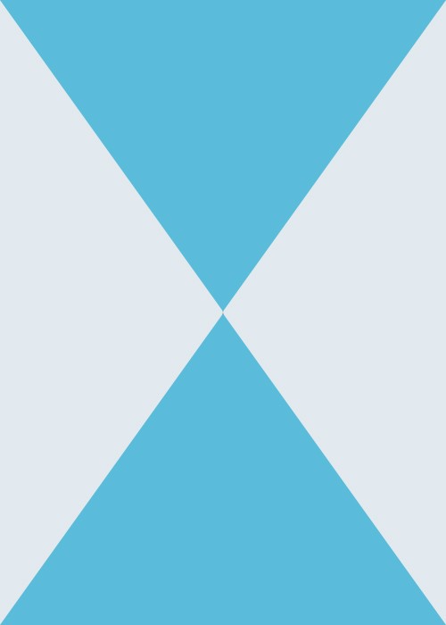 Arctic Duo front image