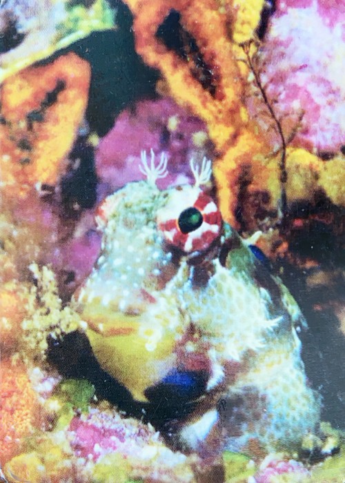 Philippine Airlines front image