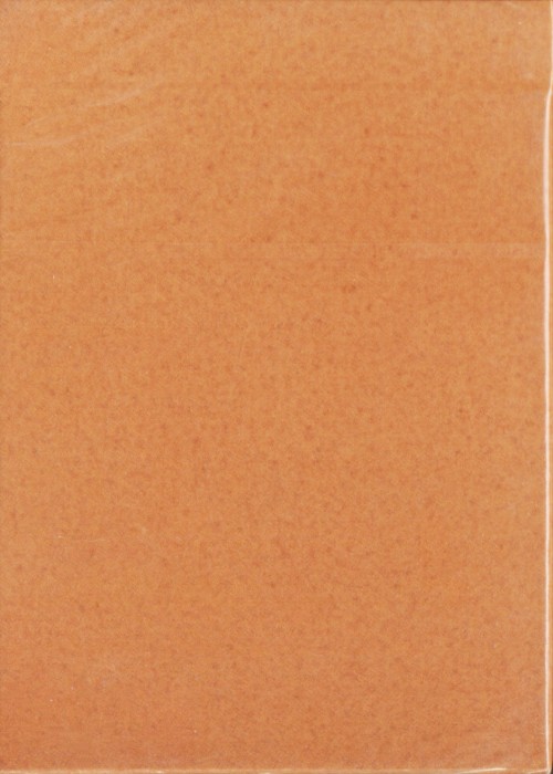 Sandwich Series (Raw Egg) front image