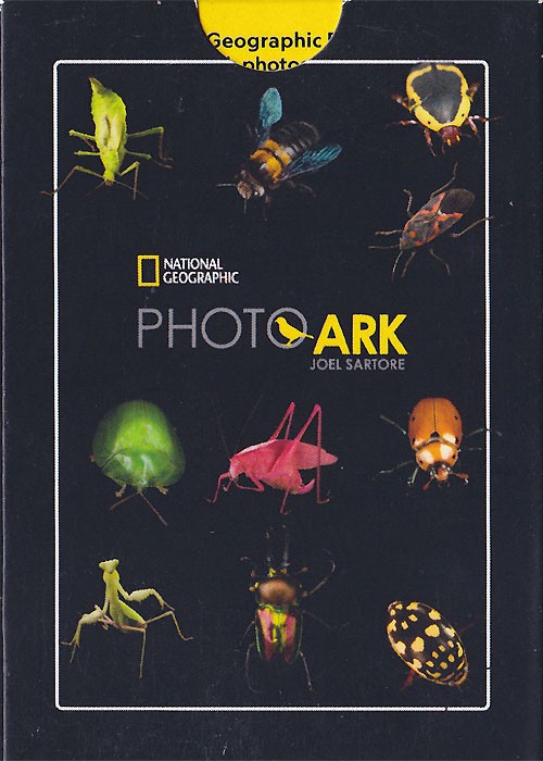 NATIONAL GEOGRAPHIC PHOTOARK: INSECTS front image