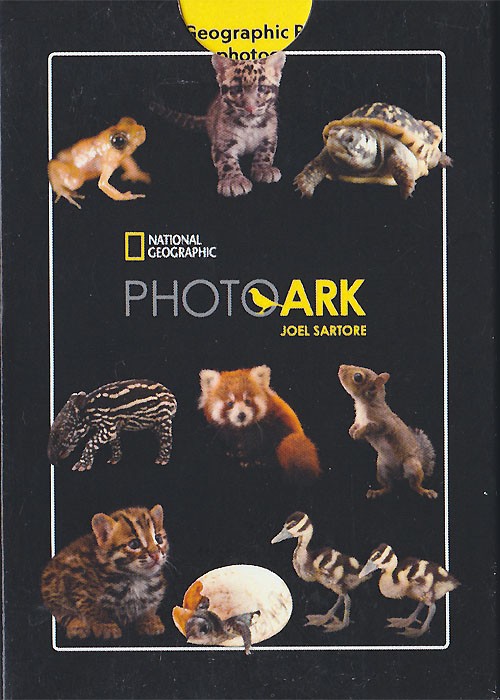 NATIONAL GEOGRAPHIC PHOTOARK: Baby Animals front image