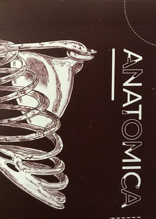 Anatomica Prototype front image