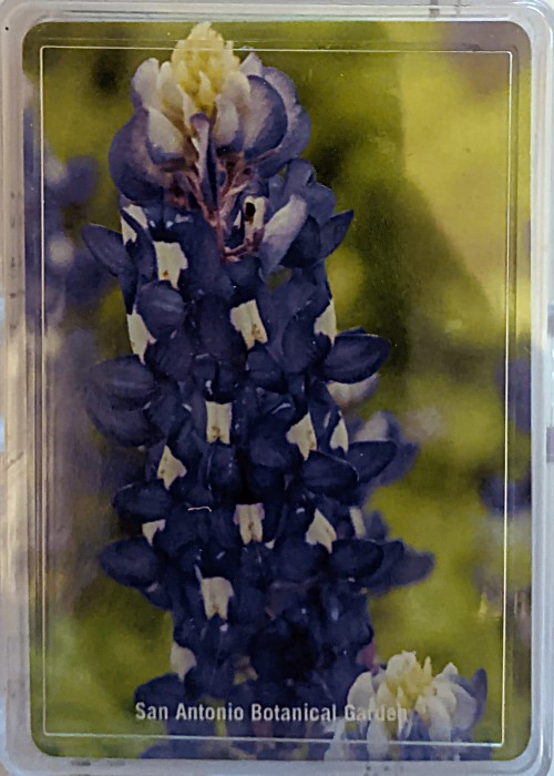 San Antonio Botanical Garden front image