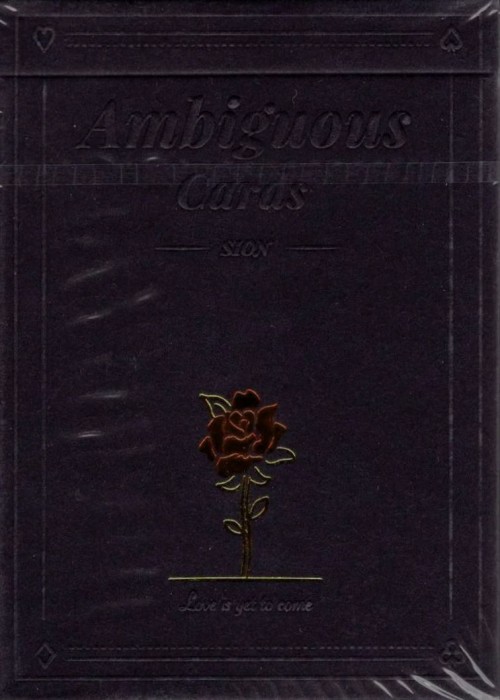 Ambiguous (Black) front image