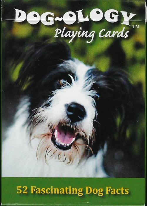 Dog-Ology [Sea to Sky Photography] front image