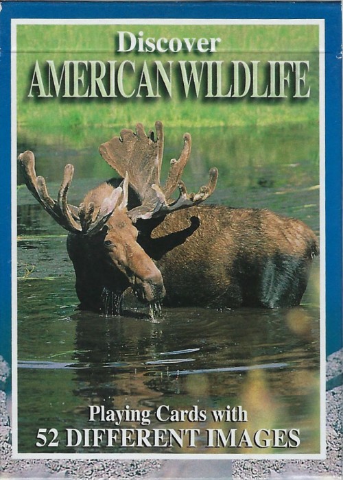 Discover American Wildlife front image