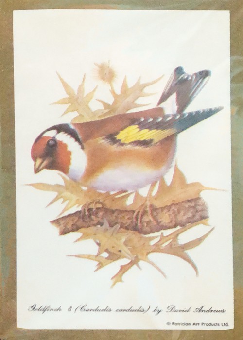 Goldfinch front image