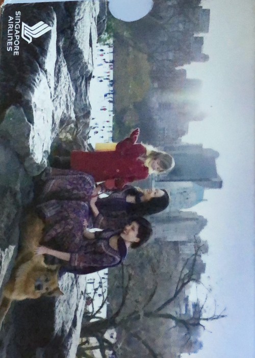 Singapore Arlines front image