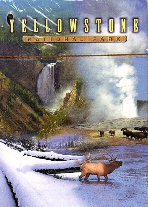 Yellowstone National Park front image