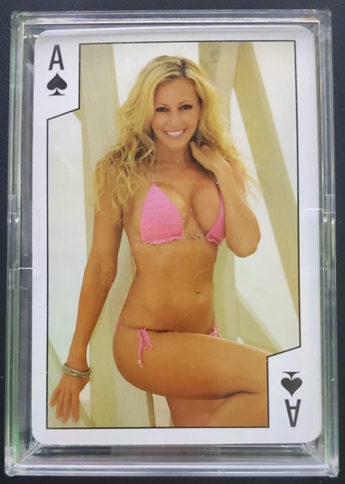 Girls of Hawaii front image