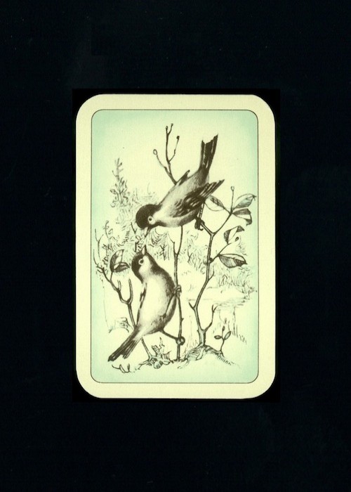 Patience Green [F.X. Schmid] front image