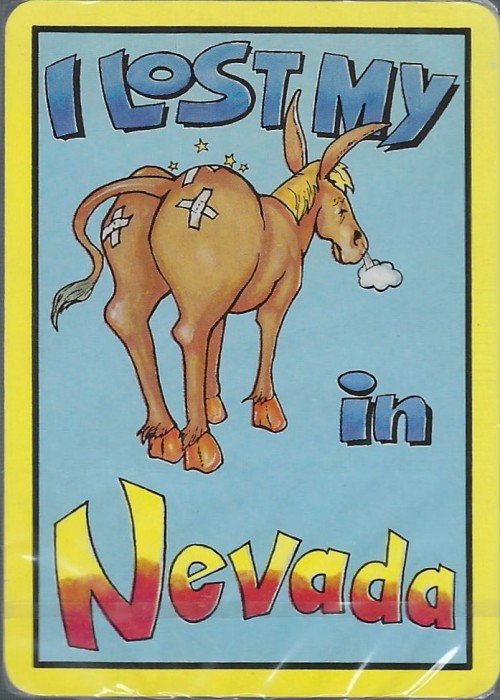 I Lost My A$$ in Nevada front image