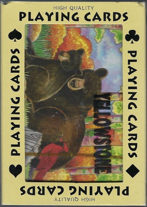 Yellowstone front image