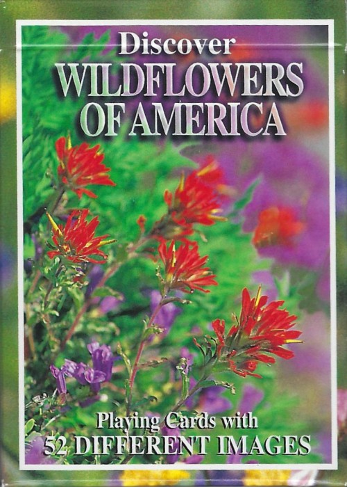 Discover Wildflowers of America [Sea to Sky Photography] front image