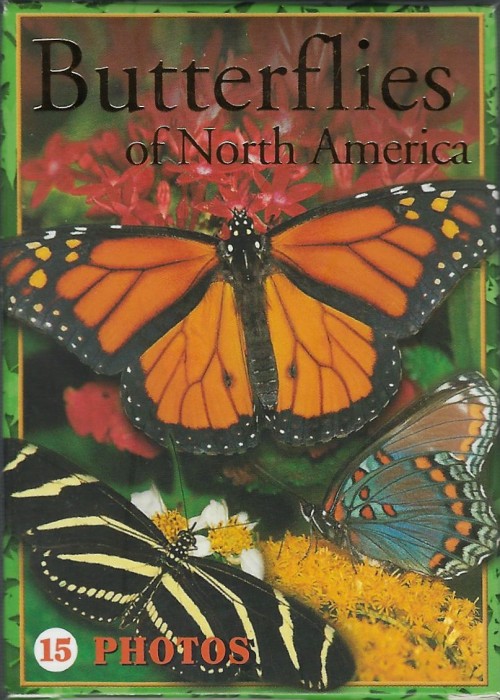 Butterflies of North America [Impact] front image