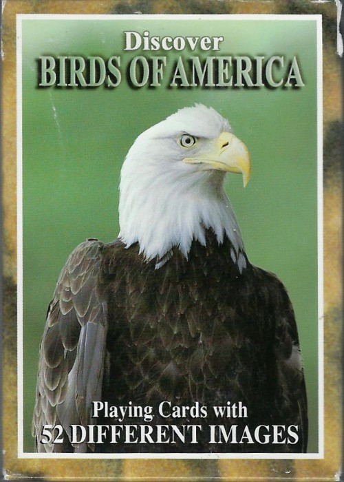 Discover Birds of America front image