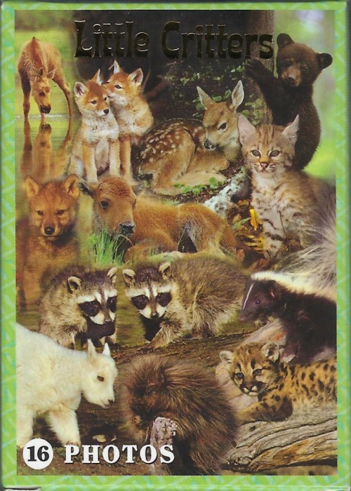 Little Critters front image