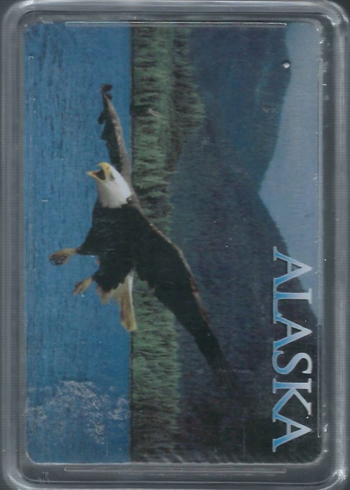 Alaska Eagle front image