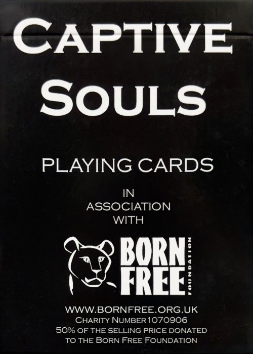 Captive Souls front image