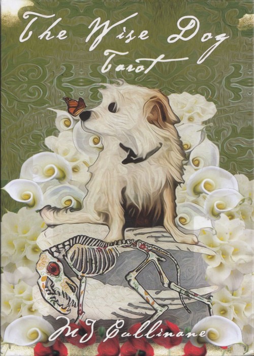 Wise Dog Tarot front image