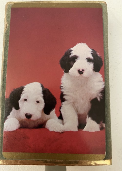 Congress Pinochle Collie front image