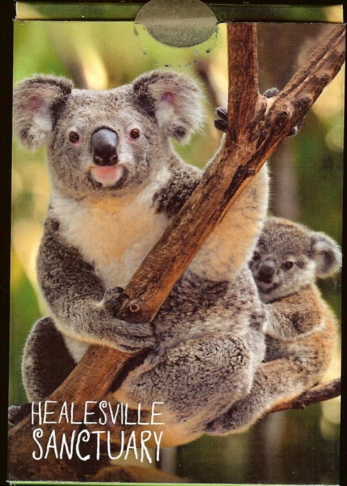 Healesville Sanctuary front image