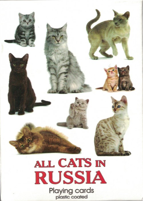 All Cats in Russia (Ð’ÑÐµ ÐºÐ¾ÑˆÐºÐ¸ Ð² Ð Ð¾ÑÑÐ¸Ð¸) front image