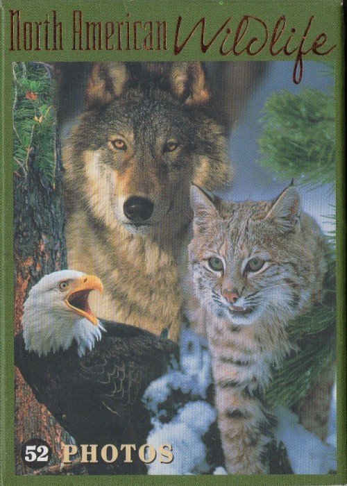 North American Wildlife front image