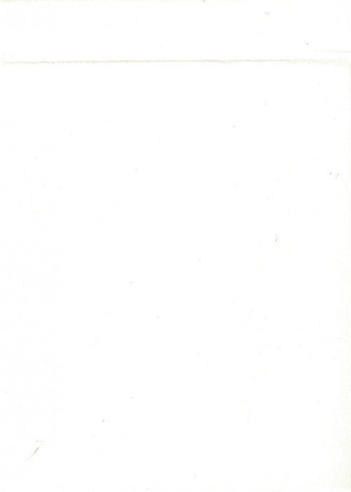 Jose Portals Trainers (Orange) front image